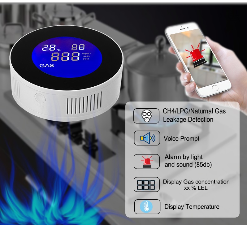 Stand-Alone Gas Leakage Detector